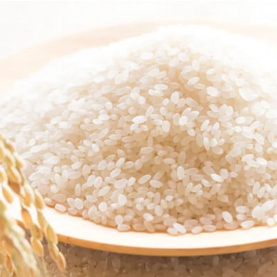 【毎月定期便】北海道産 ゆめぴりか 無洗米 10kg (5kg×2袋)〈令和6年 特A受賞〉全3回