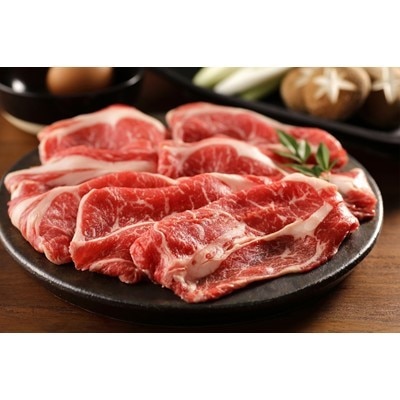 2023年4月発送開始『定期便』北海道帯広を代表するブランド赤身肉「豊西牛」満喫コース全6回【配送不可地域：離島】