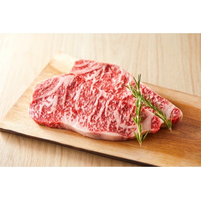 2023年12月発送開始『定期便』十勝四季彩牛 食べ比べ(すき焼き・焼肉・ステーキなど) 全6回【配送不可地域：離島】