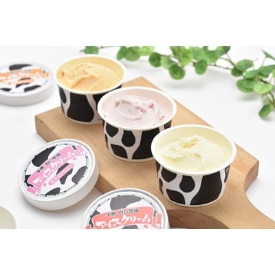 2023年9月発送開始『定期便』十勝橋本牧場のアイスクリーム・プリン・プレミアムソフト全3回【配送不可地域：離島】