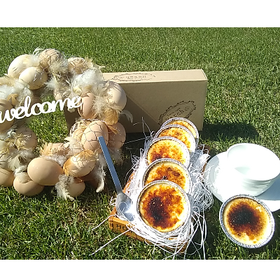 十勝産原料使用　濃厚クレームブリュレ　10個入り【配送不可地域：離島】