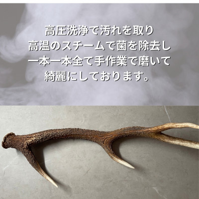 鹿の角 半割り 15cm 2本 犬のおもちゃ デンタルケア 小・中型犬用