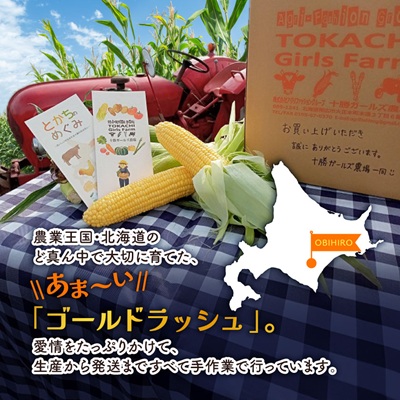 先行受付【十勝ガールズ農場】直送 朝もぎつぶつぶ「あま～いゴールドとうもろこし」10本【配送不可地域：離島】