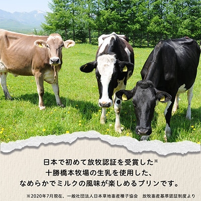 十勝ブラウンスイス乳プリン15個【配送不可地域：離島】