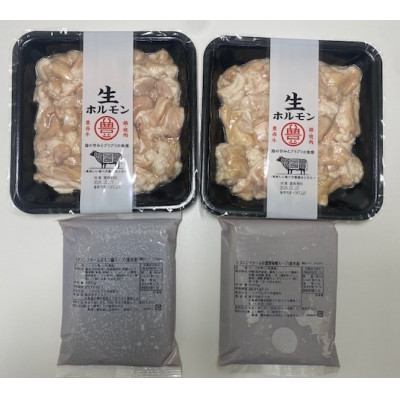 豊西牛もつ鍋2種食べ比べセット【配送不可地域：離島】