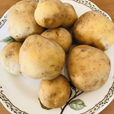 北海道十勝帯広産 じゃがいも 2種10kg(メークイン とうや )【配送不可地域：離島】