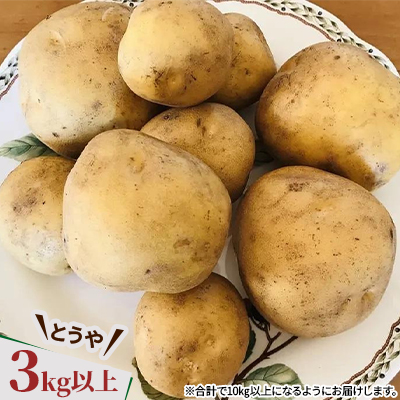 じゃがいも2種 玉ねぎ 合計10kgセット 北海道十勝帯広産【配送不可地域：離島】