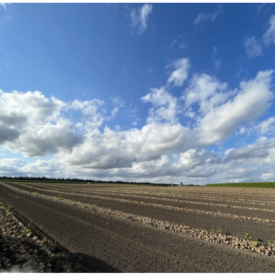 じゃがいも ( メークイン ) 10kg 北海道十勝帯広産【配送不可地域：離島】