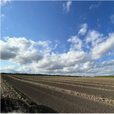 じゃがいも (とうや)10kg 北海道十勝帯広産【配送不可地域：離島】