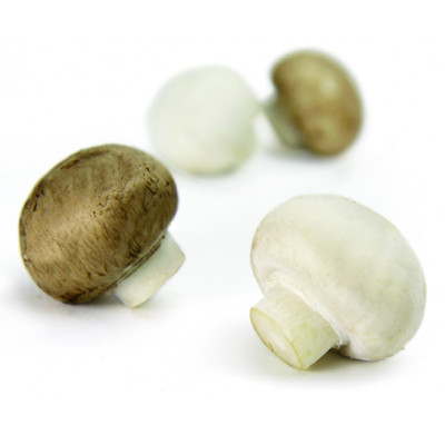 とかちマッシュ ホワイト・ブラウンMIX1.5kg【配送不可地域：離島】