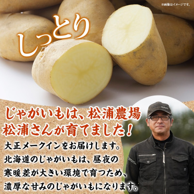 十勝 玉ねぎ 5kg メークイン じゃがいも 5kg 計10kg 農家さんのお野菜 北海道 帯広市