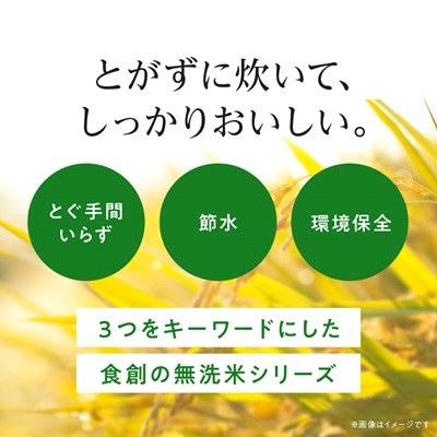 【令和7年産新米】 北海道産 ななつぼし 無洗米 10kg (5kg×2)〈令和6年特A受賞〉