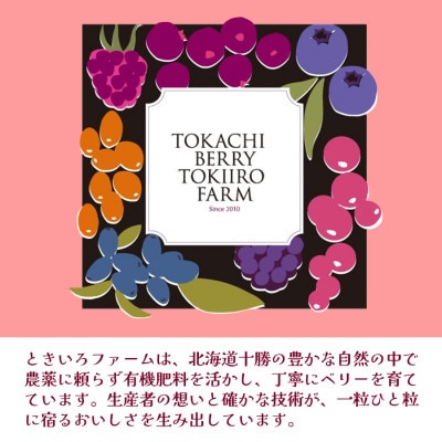 【令和8年8月以降出荷】【北海道十勝産 贅沢ブレンド】冷凍ミックスベリー500g×10袋【配送不可地域：離島】