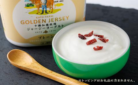 ゴールデンジャージーヨーグルト　450g×4個【配送不可地域：離島】