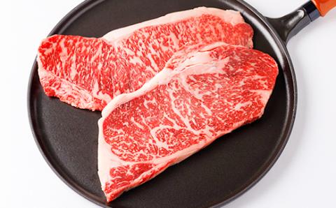 帯広牛 ステーキ 2種 食べ比べ セット 計660g  (サーロイン ヒレ 各2枚)  ソース付【配送不可地域：離島】