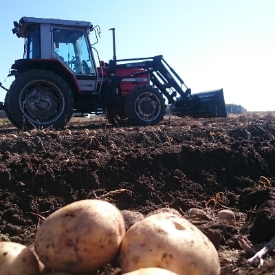 【十勝ガールズ農場】直送!新じゃが「カラフルポテト(彩りじゃがいも)」いろいろ試せる「7種」5kg!【配送不可地域：離島】