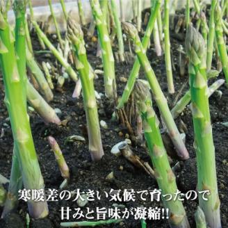 【2023年5～6月発送・先行受付】 北海道 十勝 帯広産 グリーンアスパラ1kg【配送不可地域：離島】
