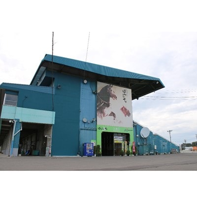 【北海道帯広】世界にたったひとつ!ばんえい競馬　個人冠協賛レース