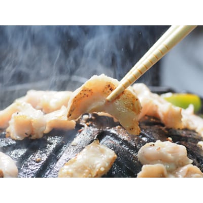 氷温熟成!羊1頭まるごと手切りの肉のミートピア「社長のジンギスカン・焼肉セット」【配送不可地域：離島】