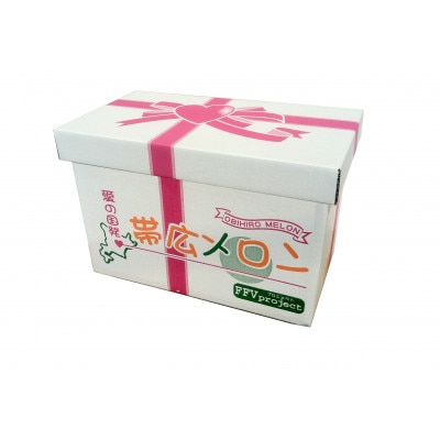 帯広メロン2玉(7月下旬より発送予定)【配送不可地域：離島・沖縄県】