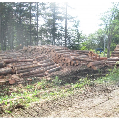 BEAR LARCH 　カラマツスツール