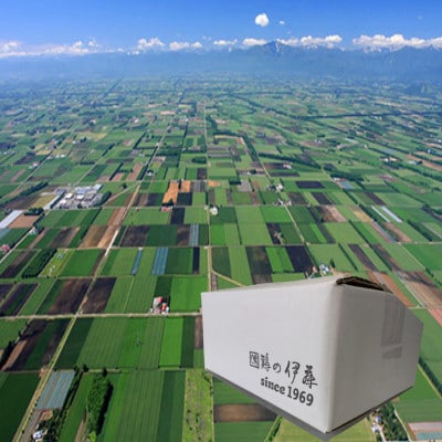 【鶏の伊藤】黄金鶏油(チーユ) 3本 セット 北海道 十勝 帯広【配送不可地域：離島】