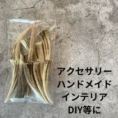 鹿の角 枝先10cm前後200gセット 北海道産 アクセサリー クラフト材