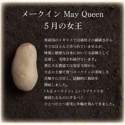 大正メークインじゃがバター30個入【5個入×6】