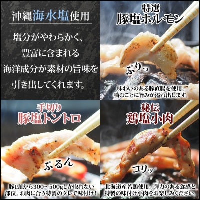 十勝 ジンギスカン＆焼肉3種セット 各1パック 手切り羊肉 ホルモン トントロ 鶏塩 北海道 帯広市【配送不可地域：離島】