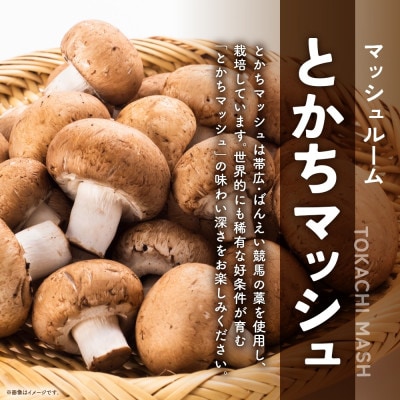 十勝 乾燥 マッシュルーム 15g×6パック とかちマッシュ 即席で便利 北海道 帯広市