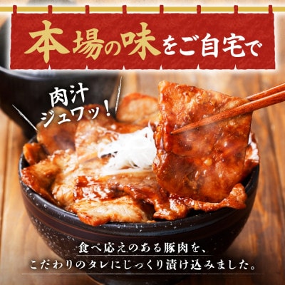 十勝 豚丼＆豚丼ボール(各1パック)焼くだけ 食べきりサイズ 秘伝のタレ付き 北海道 帯広市【配送不可地域：離島】