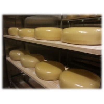 ゴールデンジャージー　長期熟成ストロングゴーダ　500g【配送不可地域：離島】