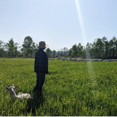 香林農園ナチュラルチーズ　山羊と牛のチーズセット　北海道　日高山脈の小さなチーズ農家【配送不可地域：離島】