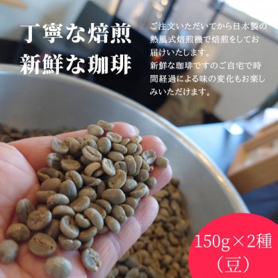 熊乃珈琲 スペシャルティコーヒー【中煎り・深煎り】(豆)