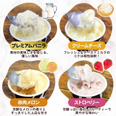 十勝白い牧場アイス 全味食べ比べセット(4種×各3個)【配送不可地域：離島・沖縄県】