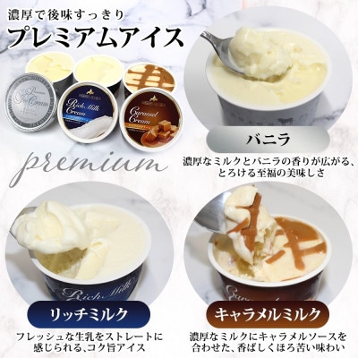十勝橋本牧場 プレミアムアイス 全味食べ比べセット(3種×各4個)【配送不可地域：離島・沖縄県】