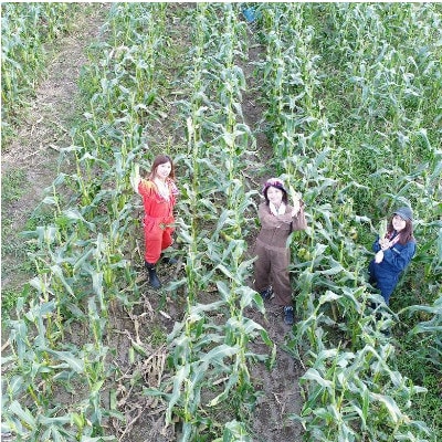 【発送月固定定期便】直送!【北海道を満喫便】十勝ガールズ農場の野菜セレクション全5回【配送不可地域：離島】