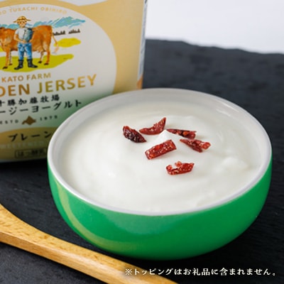 【毎月定期便】ゴールデンジャージーヨーグルト 450g×4個 北海道 十勝 加藤牧場全6回【配送不可地域：離島】