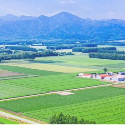 【毎月定期便】北海道産 ゆめぴりか 無洗米 10kg (5kg×2袋)全3回