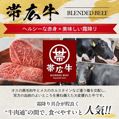 帯広牛 ヒレ ステーキ 120g×3枚 計360g セット【配送不可地域：離島】