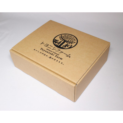 豊西牛 ランプ ステーキ セット 計520g (260g×2枚) トヨニシソース付【配送不可地域：離島】