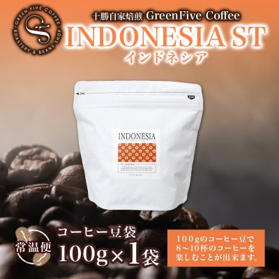 コーヒー豆 インドネシア 100g 1袋 鮮度を高めたスペシャリティコーヒー 北海道 帯広市