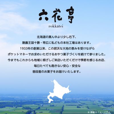 六花亭 ザ・マルセイ 19個入