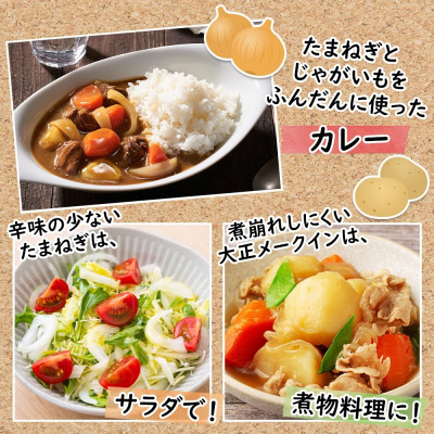 十勝 玉ねぎ 5kg メークイン じゃがいも 5kg 計10kg 農家さんのお野菜 北海道 帯広市