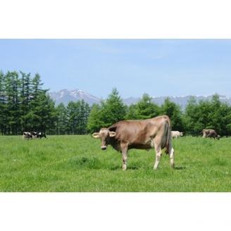 十勝橋本牧場プレミアムソフトセット16個【配送不可地域：離島】