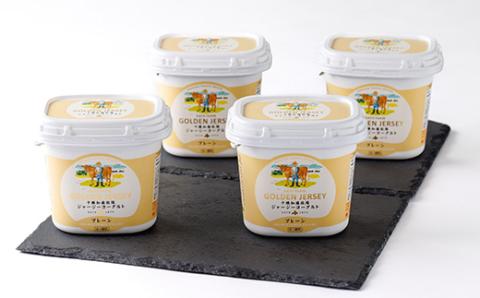 ゴールデンジャージーヨーグルト　450g×4個【配送不可地域：離島】