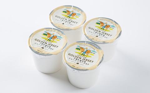 ゴールデンジャージーヨーグルト　プレーン　100g×4個入り【配送不可地域：離島】