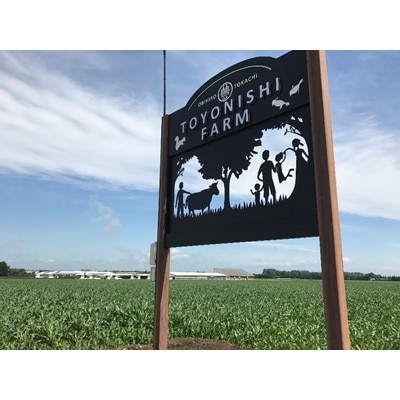 豊西牛骨付ステーキ(約600g)【配送不可地域：離島】