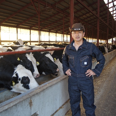 豊西牛100% ハンバーグ 8枚入 ギフト 贈答用 (トヨニシソース付)【配送不可地域：離島】