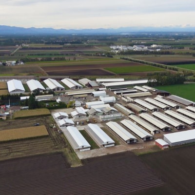 豊西牛 カルビ串 20本セット トヨニシソース付【配送不可地域：離島】